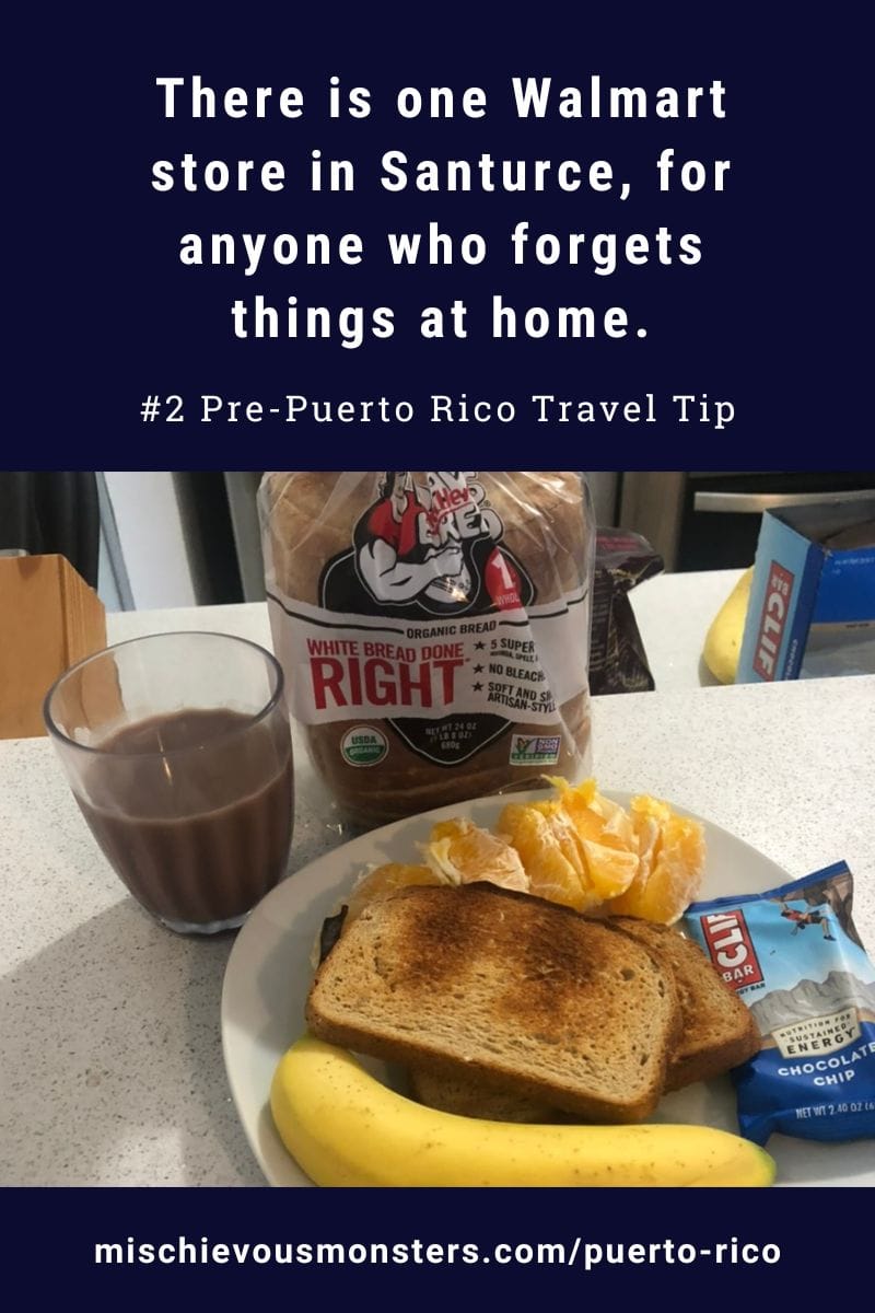 Vegan Puerto Rico Travel Guide