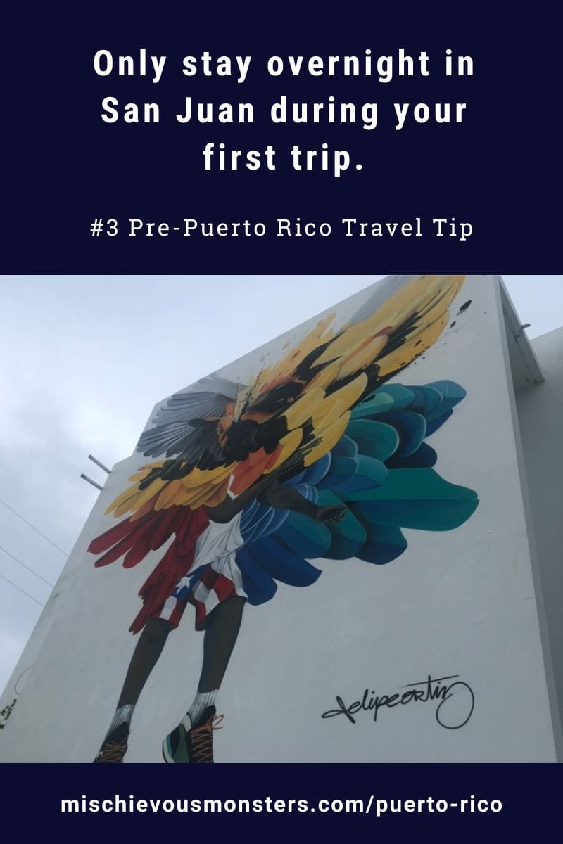 Vegan Puerto Rico Travel Guide