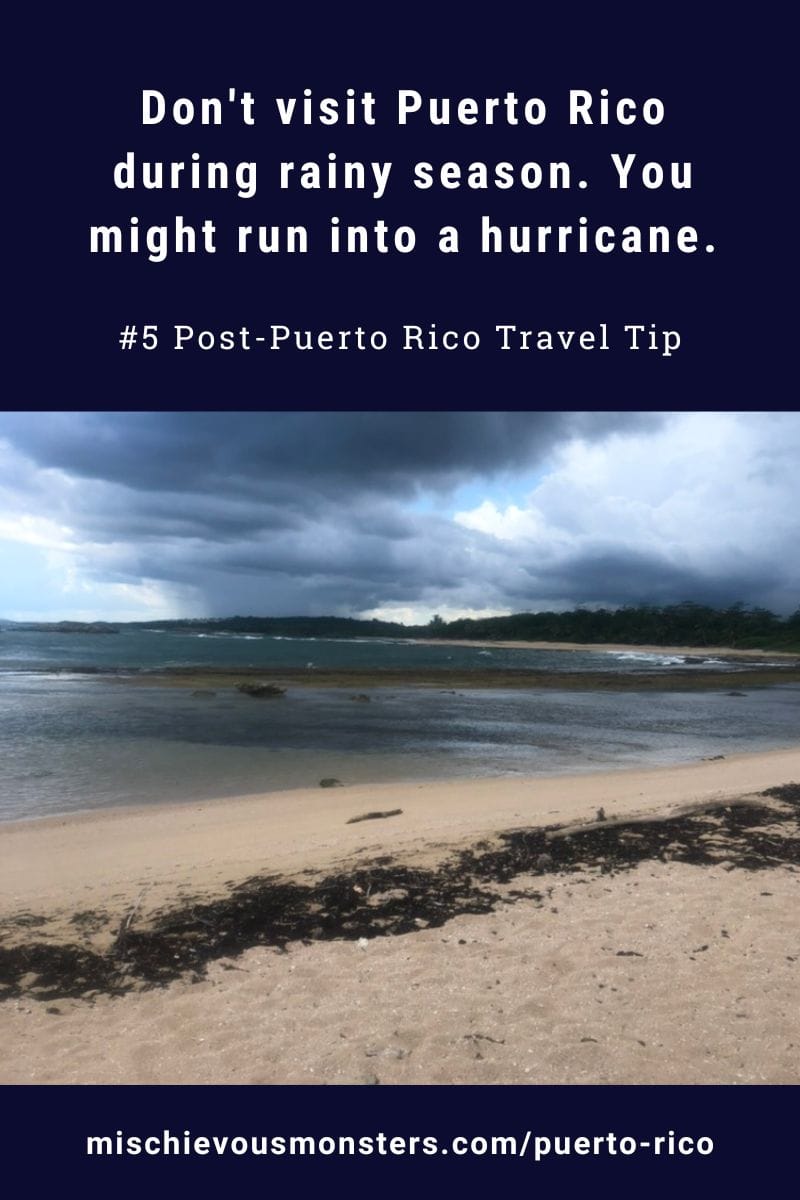 Vegan Puerto Rico Travel Guide