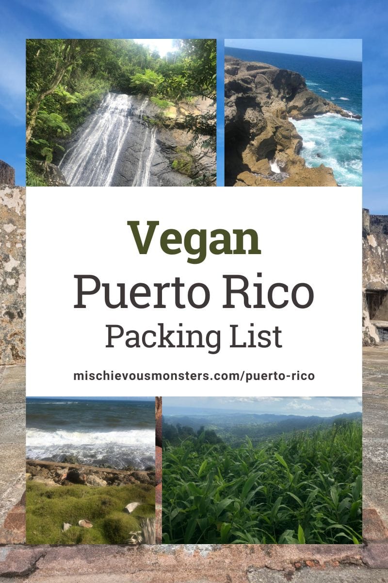 Vegan Puerto Rico Travel Guide