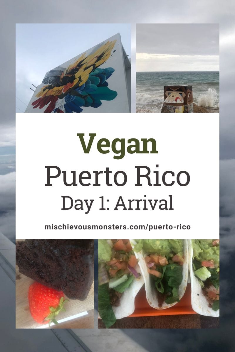 Vegan Puerto Rico Travel Guide