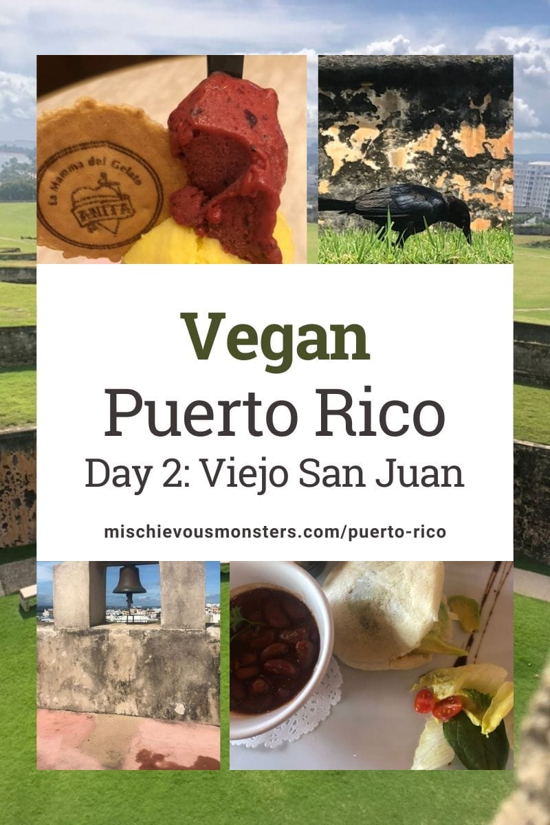 Vegan Puerto Rico Travel Guide