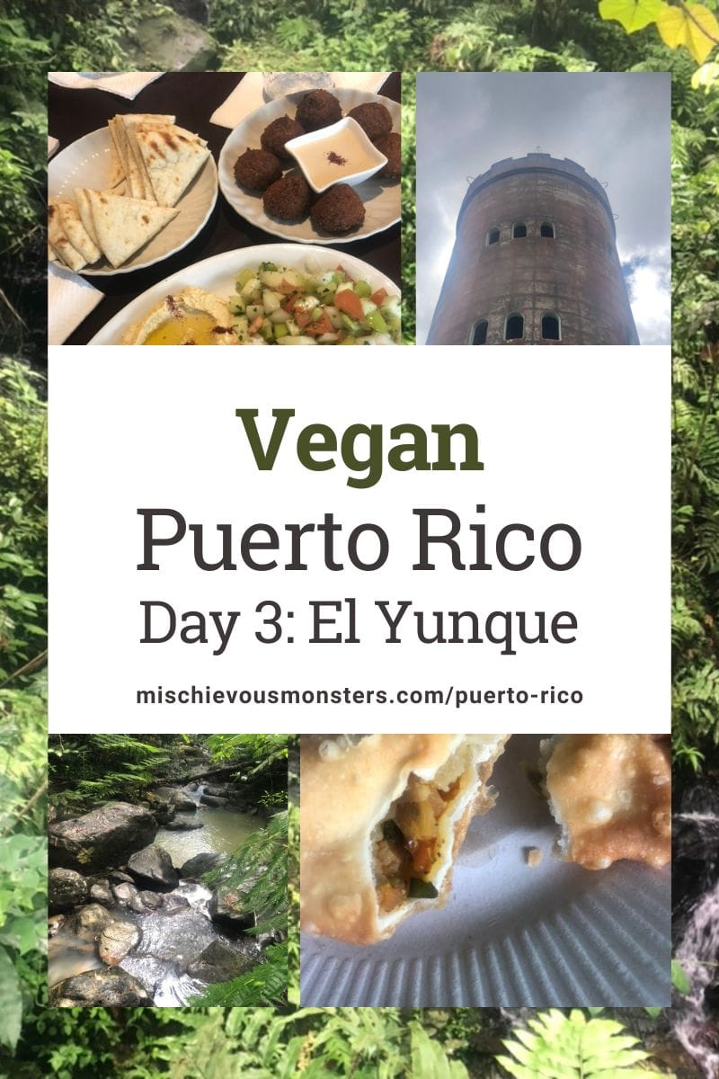 Vegan Puerto Rico Travel Guide