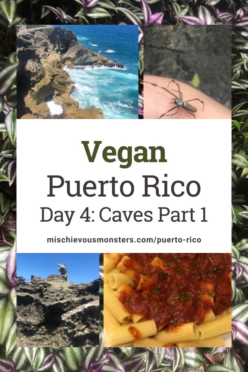 Vegan Puerto Rico Travel Guide