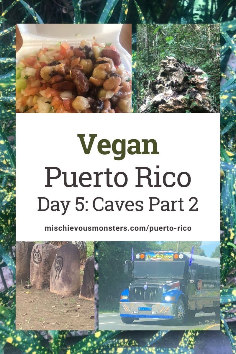 Vegan Puerto Rico Travel Guide