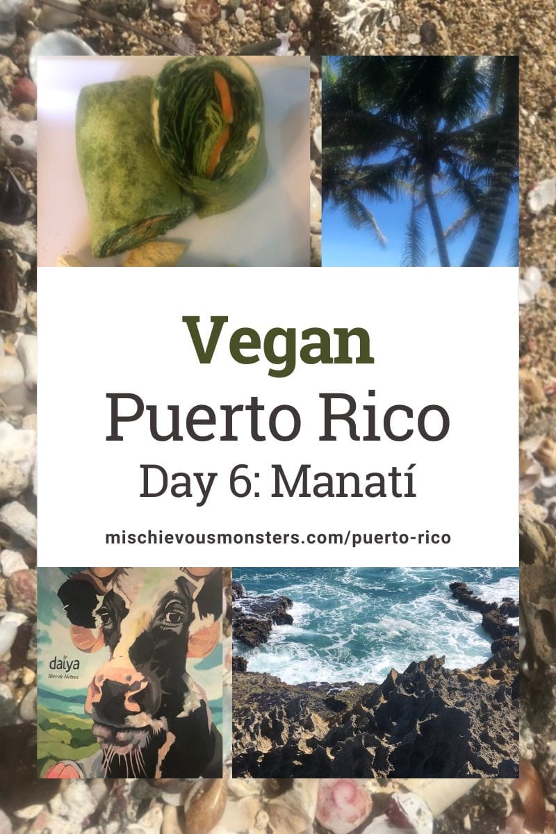 Vegan Puerto Rico Travel Guide