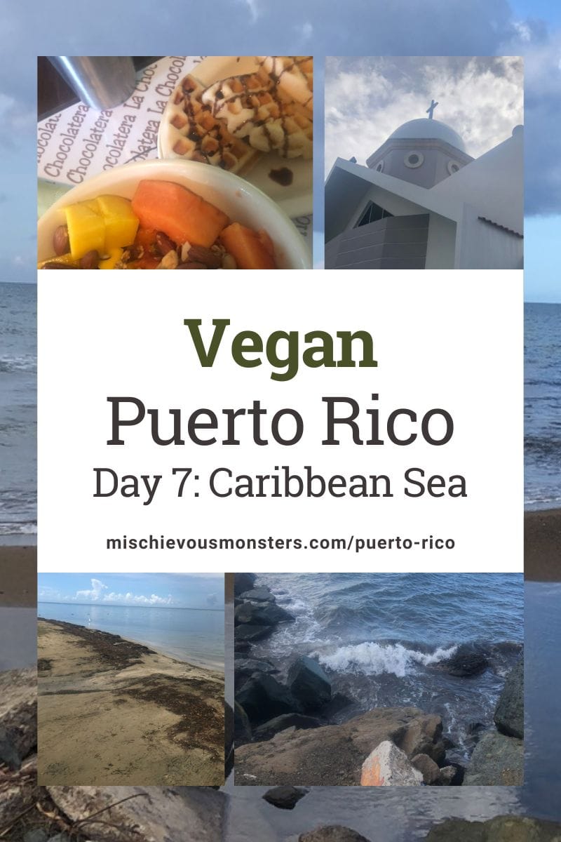 Vegan Puerto Rico Travel Guide