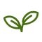 Focus Friend App Review: Turn Screen Time into Bean Time
