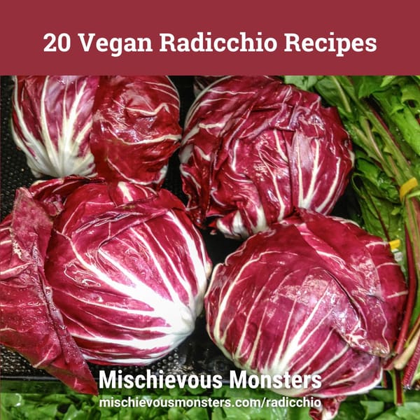 20 Vegan Radicchio Recipes